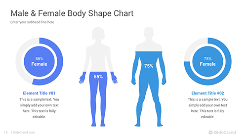 Shapes Charts PowerPoint Template Designs